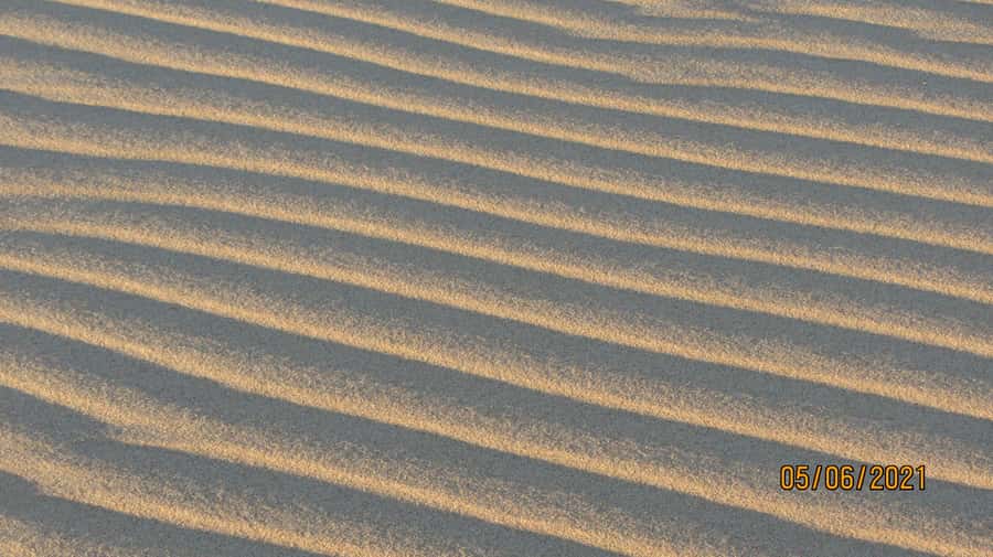 From Walvis Bay: Sandwich Harbour World Heritage Site - Wildlife you might spot on the return: springbok, oryx, jackal, ostrich