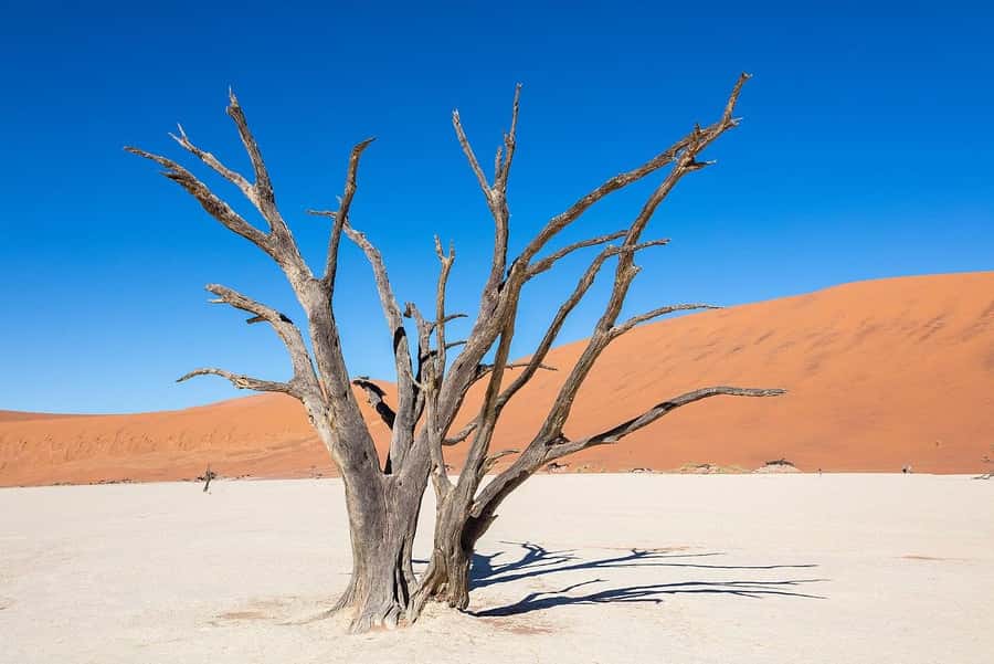 From Windhoek: 3-Day Sossusvlei Shared Shuttle Tour - Quick Take