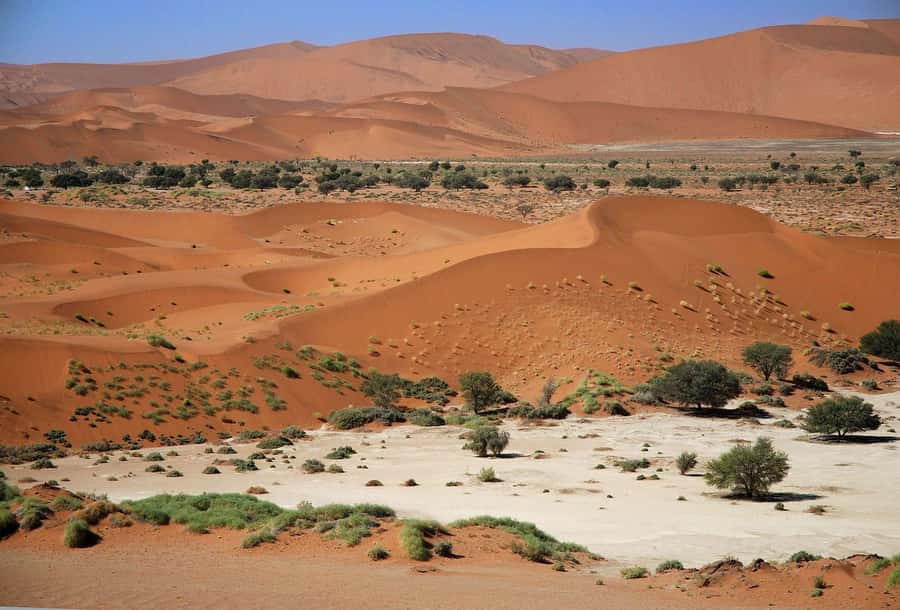 From Windhoek: Budget Sossusvlei Guided 2-Day Tour - Key things I’d circle before you book