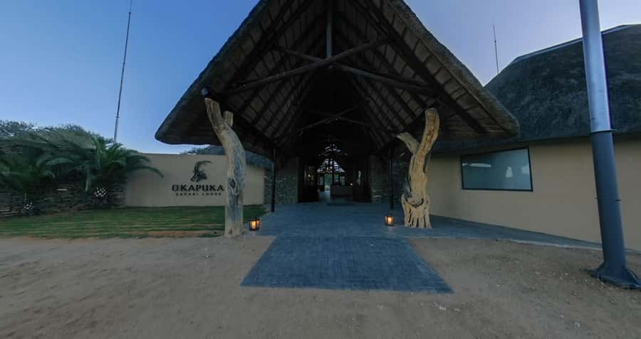 From Windhoek: Okapuka Safari Lodge Day Trip - Key highlights worth tuning in for
