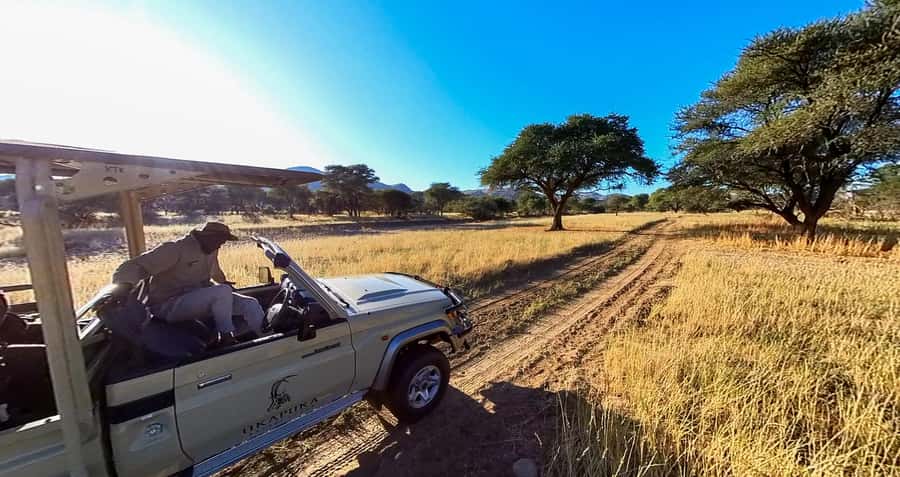 From Windhoek: Okapuka Safari Lodge Day Trip - Getting to Okapuka, and why that matters in a one-day safari