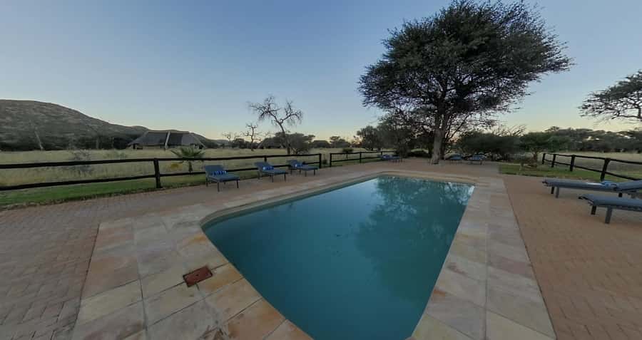 From Windhoek: Okapuka Safari Lodge Day Trip - The game drive focus: antelopes, giraffe, ostrich, and rhino odds