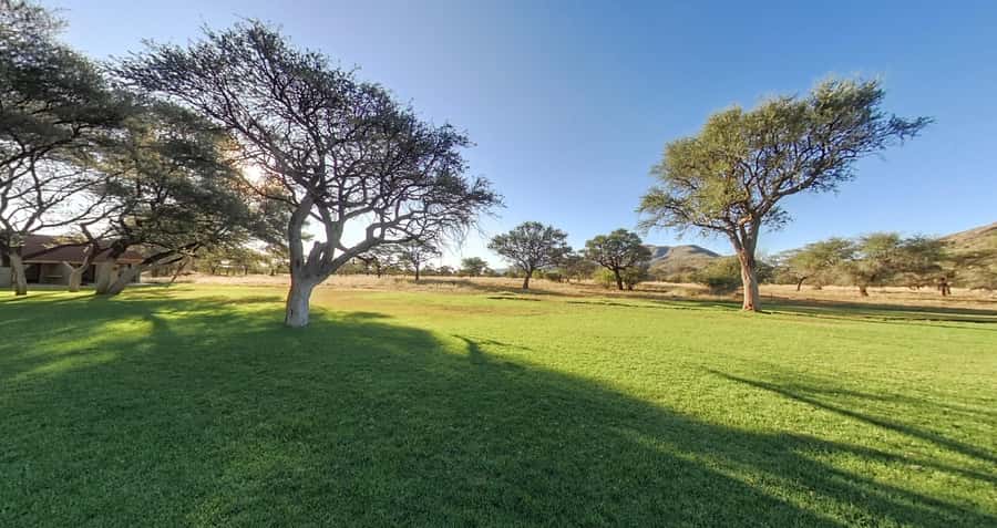 From Windhoek: Okapuka Safari Lodge Day Trip - Okapuka Safari Lodge grounds: camel thorn shade and calm lawns