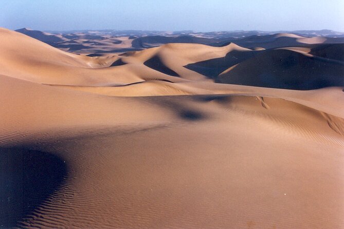Full-Day Tour in Namib Desert from Swakopmund, Namibia - Wildlife odds: springbok and klipspringer, and the right mindset