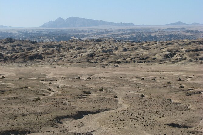 Full-Day Tour in Namib Desert from Swakopmund, Namibia - The picnic lunch that makes the 7 hours feel manageable