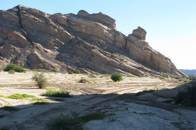 Full-Day Tour in Namib Desert from Swakopmund, Namibia - Value and price: is $125.31 per person a fair deal?
