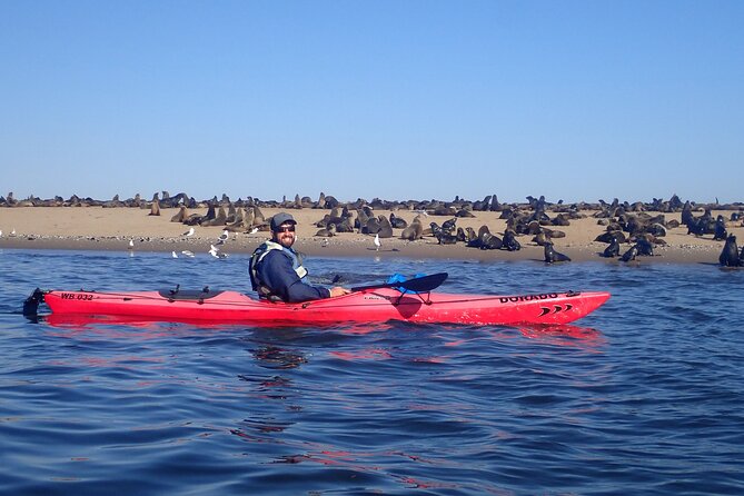 Half Day Original Seal Kayak Adventure, Pelican Point, Walvis Bay - Pace and group size: how the half-day actually works