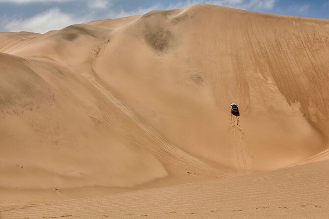 Half-Day Sandwich Harbour Tour from Walvis Bay with Lunch - Walvis Bay Lagoon flamingos, then the Kuiseb River Delta