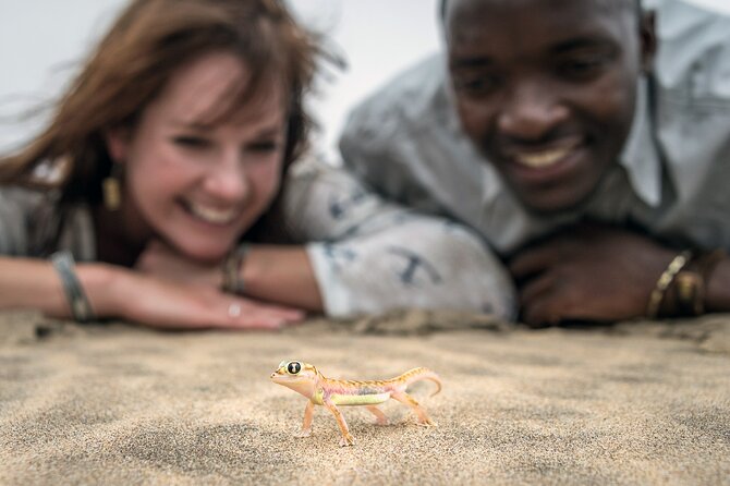 Half-Day Sandwich Harbour Tour from Walvis Bay with Lunch - Wildlife you can realistically spot, not just wish for