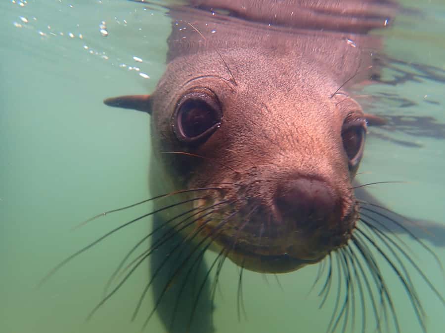 Kayak Dune Day - Key Highlights You’ll Actually Remember