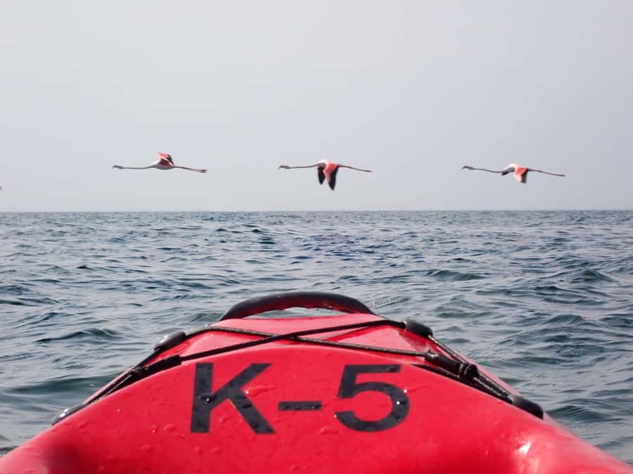 Kayak Dune Day - Gear and Suit Setup, How to Stay Comfortable in Spray and Sand