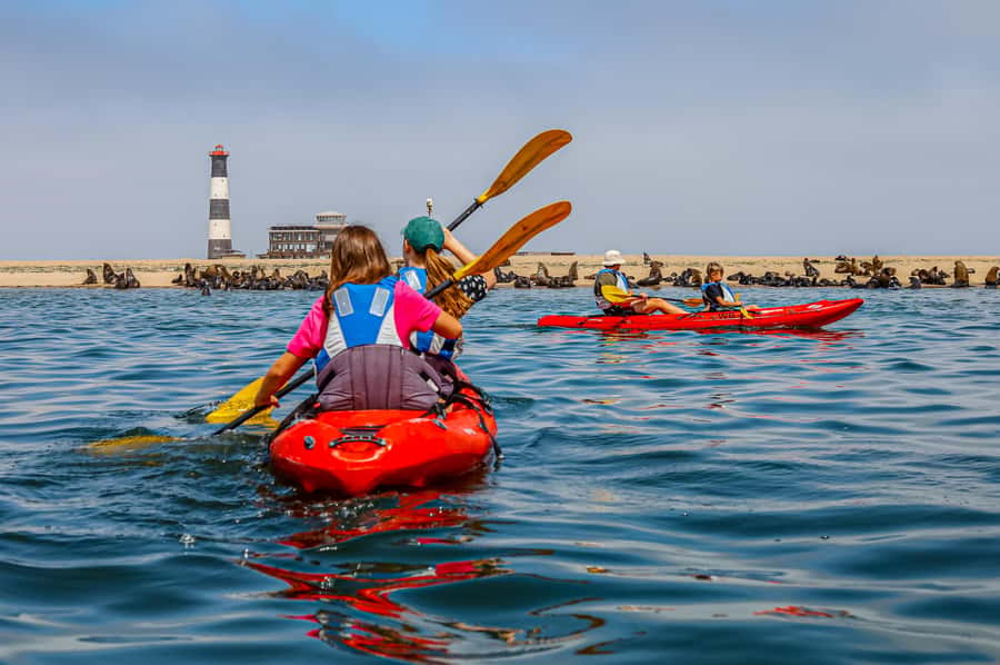 Kayak Dune Day - Sandwich Harbour by 4x4, UNESCO Dunes and Real Photo Stops