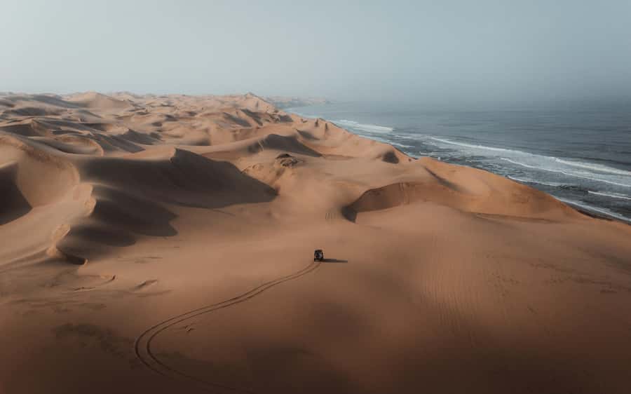 Kayak Dune Day - Price and Value: Is $389 Worth This Much Seals and Sand?