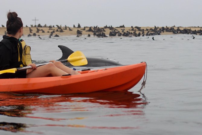 Kayaking and Sandwich Habour Guided Day Tour from Walvis Bay - Pelican Point Peninsula kayaking: gear, timing, and wildlife chances