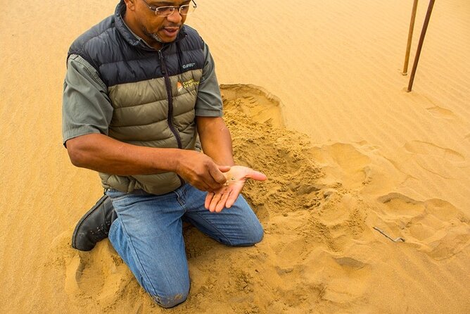 LIVING DESERT TOUR (Little 5 tour) - Desert creatures you can actually spot (and how to spot them)