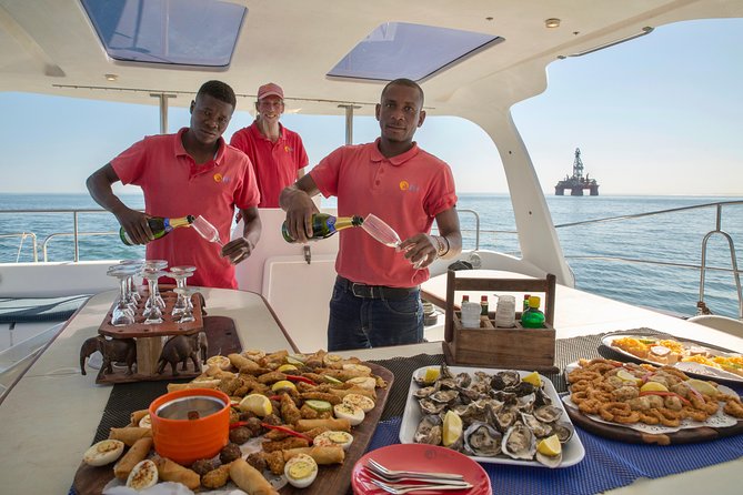 Marine Dolphin Seal Cruise - Walvis Bay Lagoon Cruise: Why the Pelican Point Route Works