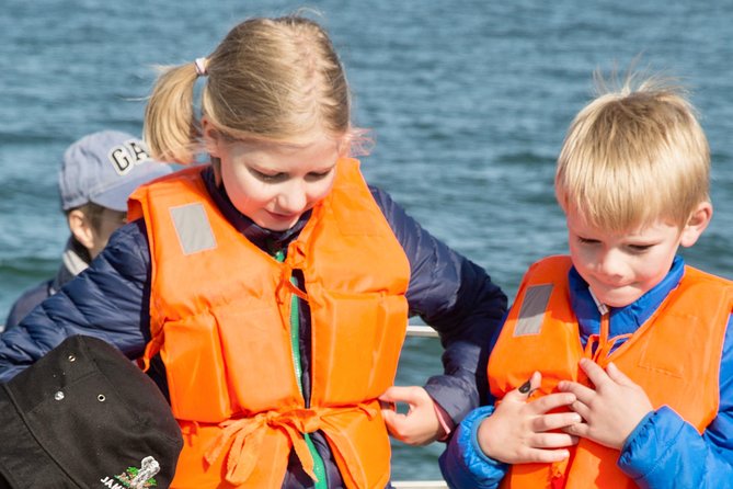 Marine Dolphin Seal Cruise - Wildlife spotting that feels respectful, not chaotic