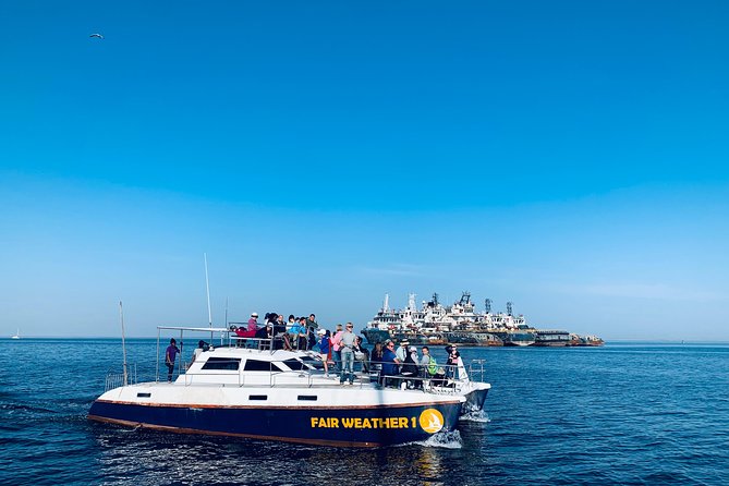 Marine Dolphin Seal Cruise - Price and value: Is $74.99 for 3 hours a fair deal?