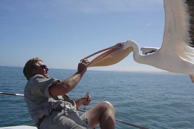 Marine Dune Day: Catamaran Cruise and Sandwich Harbor Dune Drive - Price and value: what $222 buys you in real terms