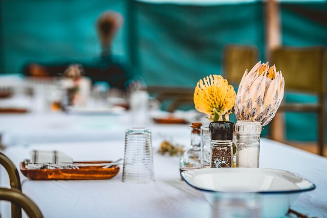 Mola Mola Day with Beach Braai Lunch - Price and logistics: what $349.07 covers and what to budget for