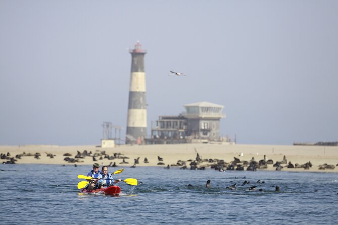 Mola Mola Kayaking Experience with a Licensed Guide - 4x4 back across peninsula, lagoon, salt pans, and dunes