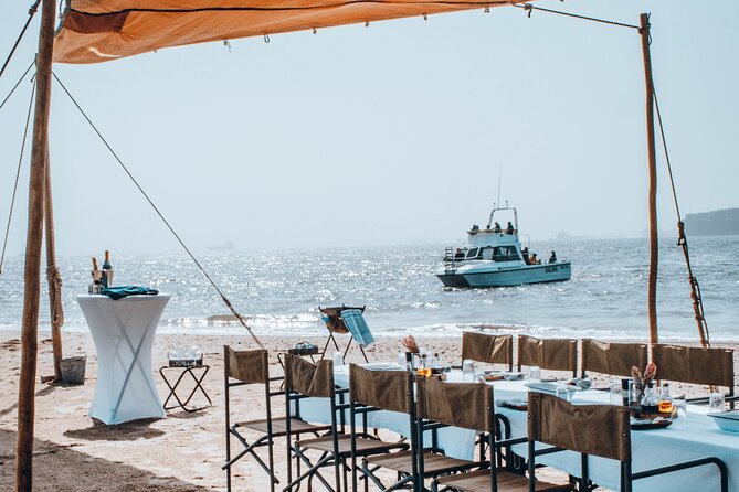 Mola Mola Marine Dolphin Cruise & Beach Braai on Pelican Point - Walvis Bay to Pelican Point: the “wildlife plus beach braai” combo