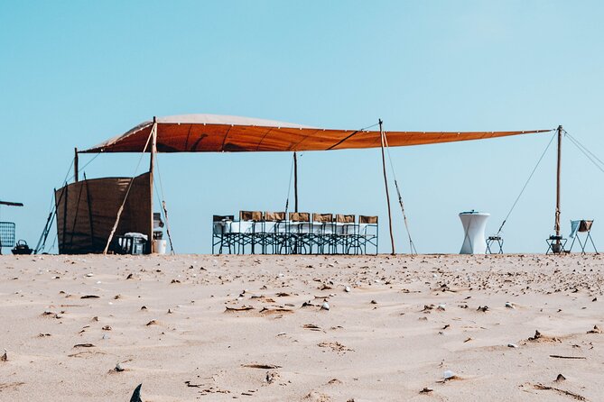 Mola Mola Marine Dolphin Cruise & Beach Braai on Pelican Point - Timing and what to expect on a 5 to 6 hour schedule