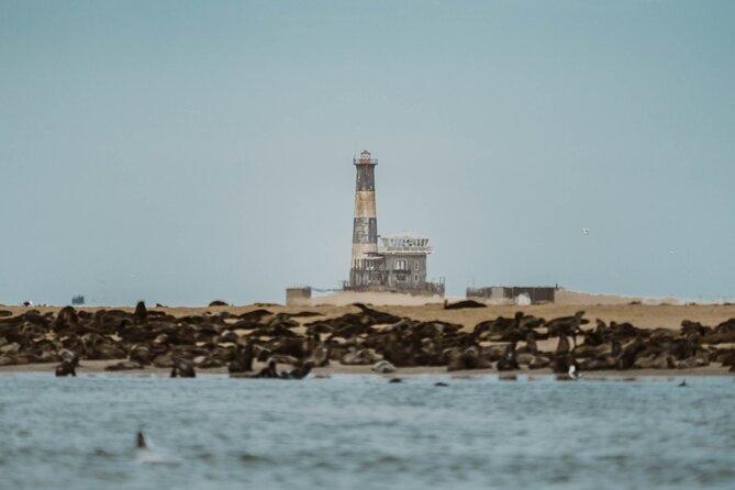 Mola Mola Marine Dolphin Cruise & Beach Braai on Pelican Point - What to bring for comfort in Walvis Bay marine weather