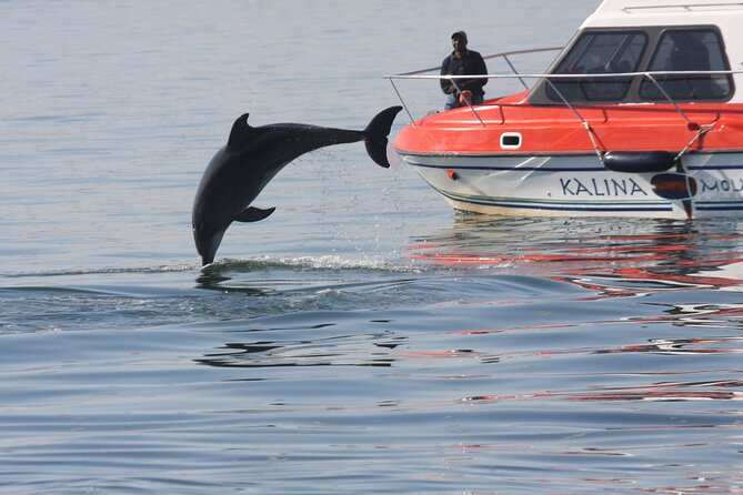 Mola Mola Marine Dolphin Cruise from the Walvis Bay Waterfront to Pelican Point - Pelican Point Peninsula and the Seal Colony Moment