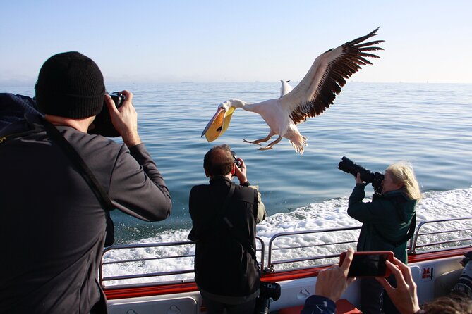 Mola Mola Marine Dune Experience - Wildlife odds, weather reality, and how to set expectations