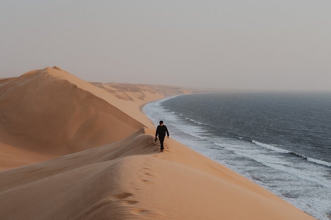Mola Mola Marine Dune Experience - Who this tour suits best