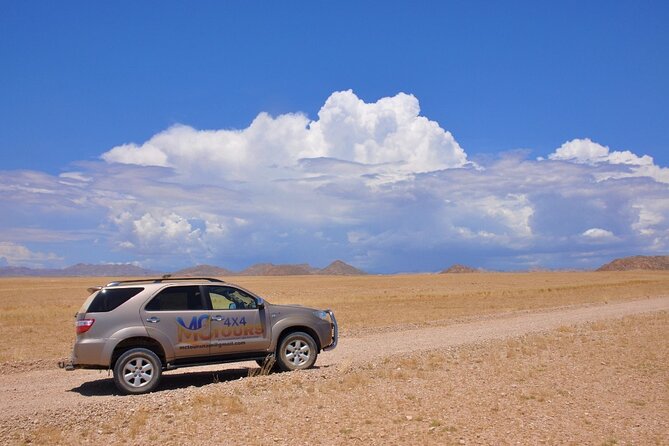 Namib Desert Landscape Tour - Key highlights you should care about