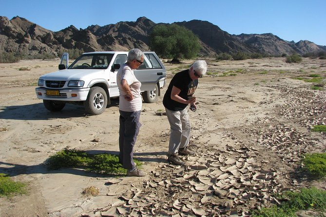 NAMIB DESERT TOURS, Full-Day and Half-Day Tours from Swakopmund, Namibia - Price and value: what you’re really paying for