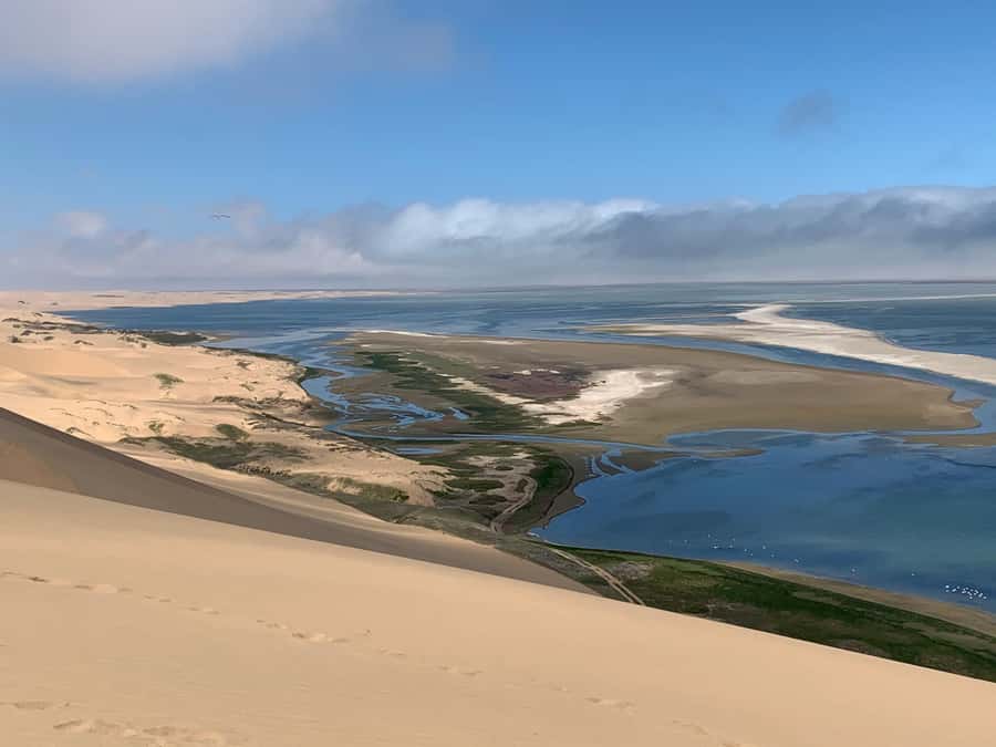Namibia; Classic Sandwich Harbour Tour - Nara Valley Wildlife, Pink Salt Lakes, and Flamingos