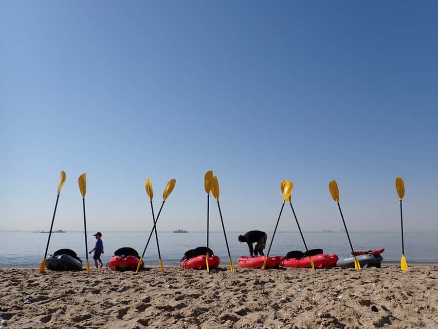 Pelican Point: Kayak with Seals Experience - Key points worth knowing before you go