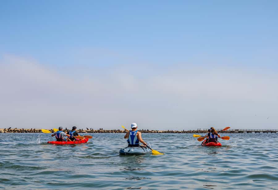 Pelican Point: Kayak with Seals Experience - The return “glam-camp” warm-up: coffee, tea, and light breakfast