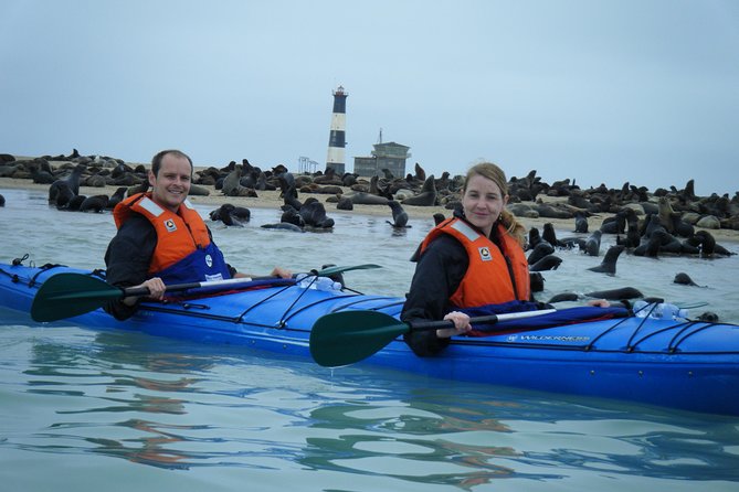 Pelican Point Kayaking Half-Day Tour - Kayaking at Pelican Point: What It Feels Like on the Water