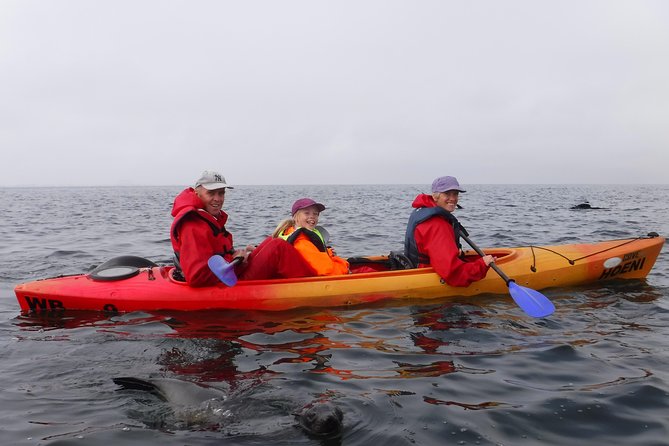 Pelican Point Kayaking Half-Day Tour - Who Should Book (and Who Might Want Another Plan)