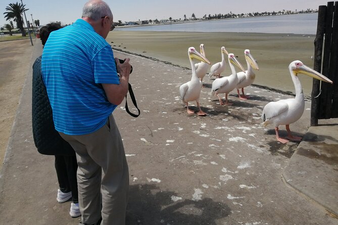 Pelican Point tours,Lagoon tours, Dune7 Adventure - Day 2: Namib Desert time, plus museum, Kristall Galerie, and markets