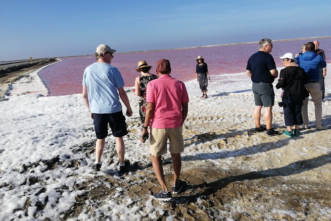 Pelican Point tours,Lagoon tours, Dune7 Adventure - What you get for $250 per person (value check)