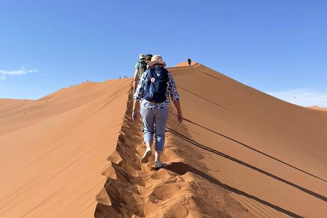 Pelican Point tours,Lagoon tours, Dune7 Adventure - Best time to go: weather matters, and sand plans should be flexible