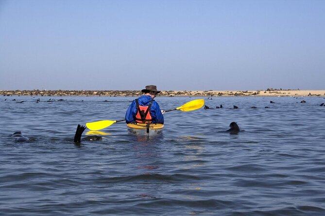 Pelican Point tours,Lagoon tours, Dune7 Adventure - Day 1 at Walvis Bay Lagoon: seals, birds, and Pink Lake views