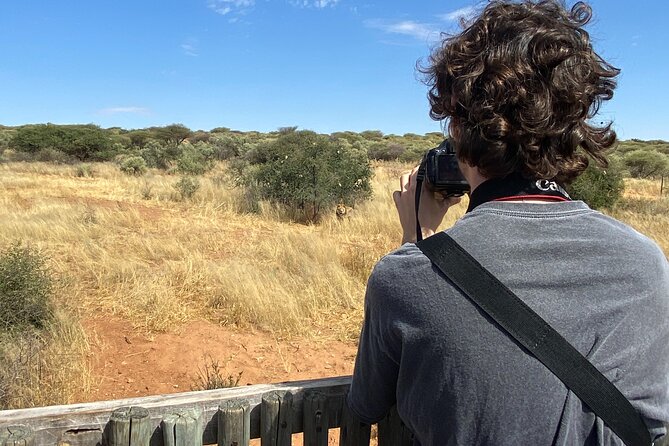 Predator Encounter: Half-Day Carnivore Feeding Windhoek - What Predator Feeding at Naankuse Really Means
