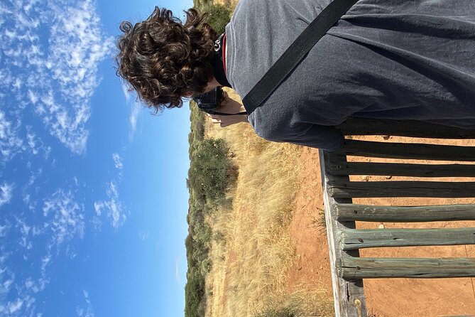 Predator Encounter: Half-Day Carnivore Feeding Windhoek - Conservation lessons: how predator protection connects to your day