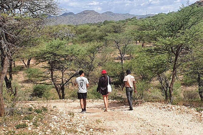 Private Guided Walking Tour with the San in Windhoek - Human Dreams Namibia and the non-profit angle you should know