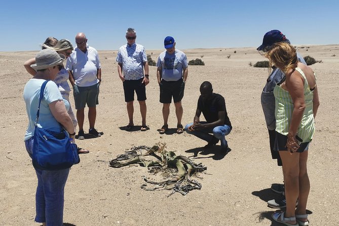 Private Half Day Coast Tour of Walvis Bay and Swakopmund City - Key points to know before you go