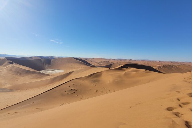 Private Multi-Day Tour Self-Drive for Beginners Safari in Namibia - Day 5: Damaraland, rocky country and the desert-elephant story