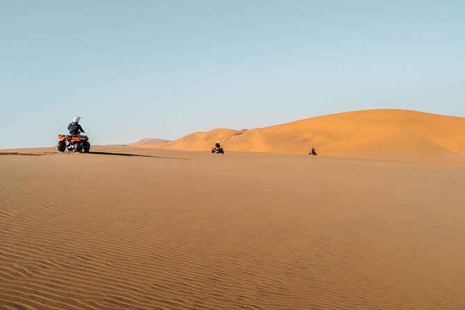 Quad Bike Tour (2 hours) - Price and Value for a 2-Hour Desert Ride