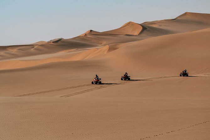Quad Bike Tour (90min) - Price and Value: Is $39.30 for 90 Minutes Worth It?