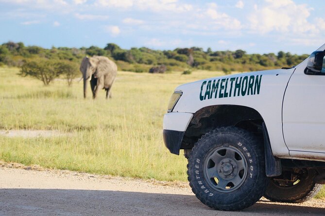 Safari in Etosha national park with professional tour guides born in Etosha. - Meeting guides born in Etosha, like Isack and Oscar